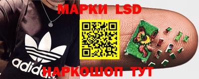 спиды Канаш