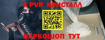 спиды Канаш