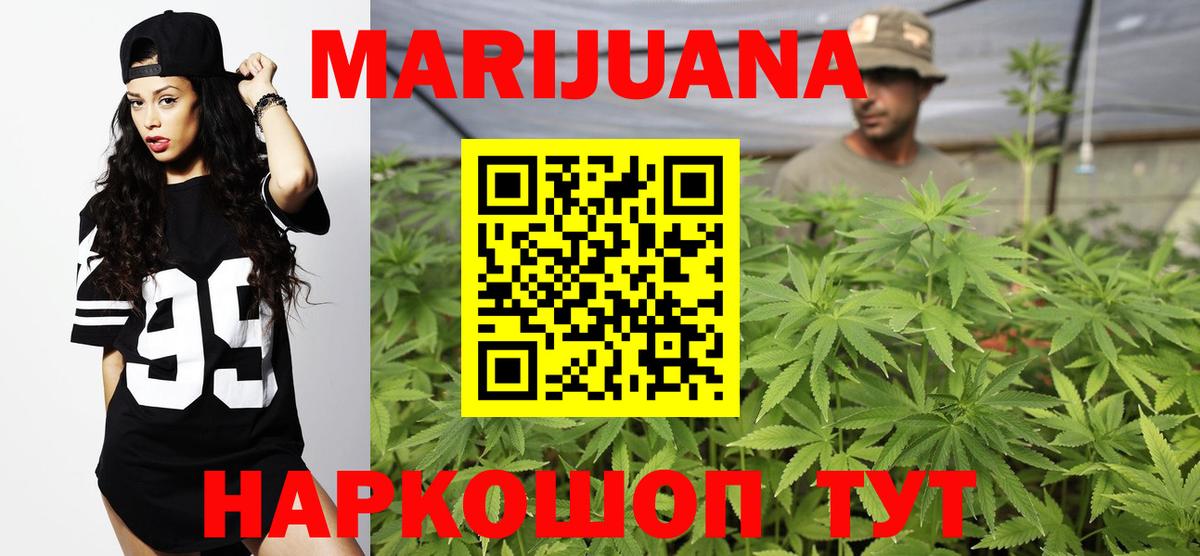 Бошки Шишки план Кострома